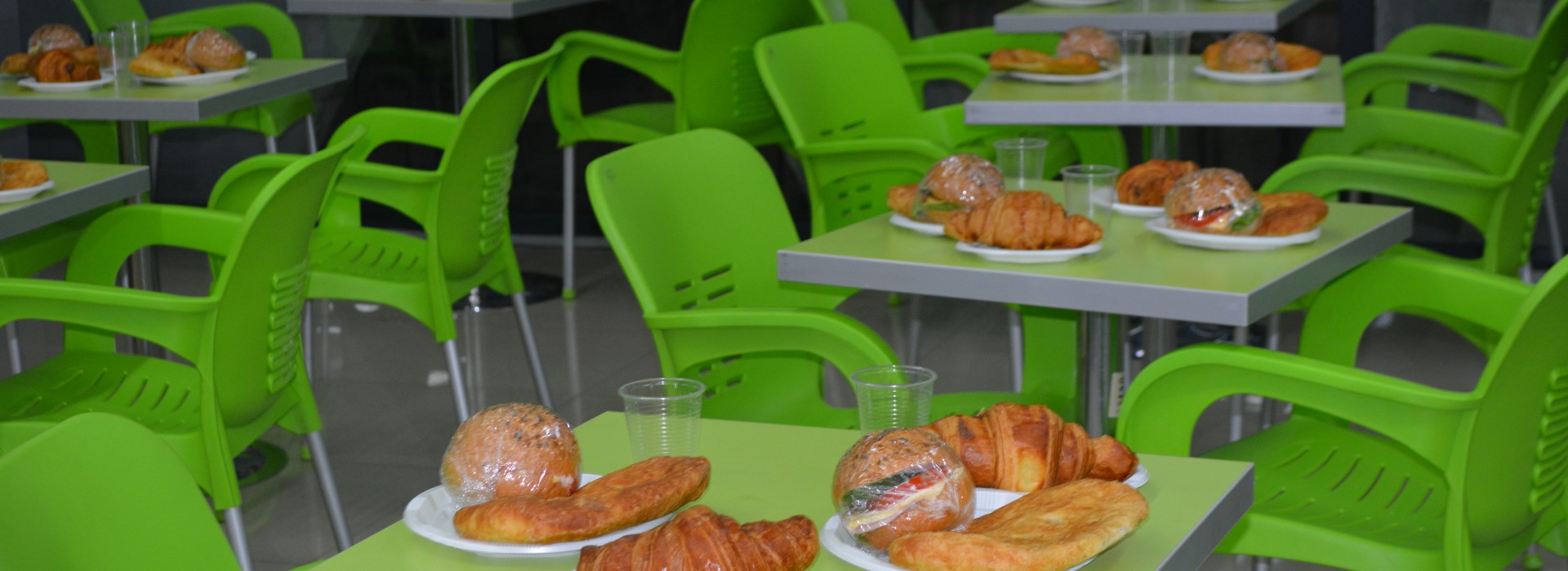 „Fresco charity fund“ hosts the school pupils from the bordering villages of the occupied territories